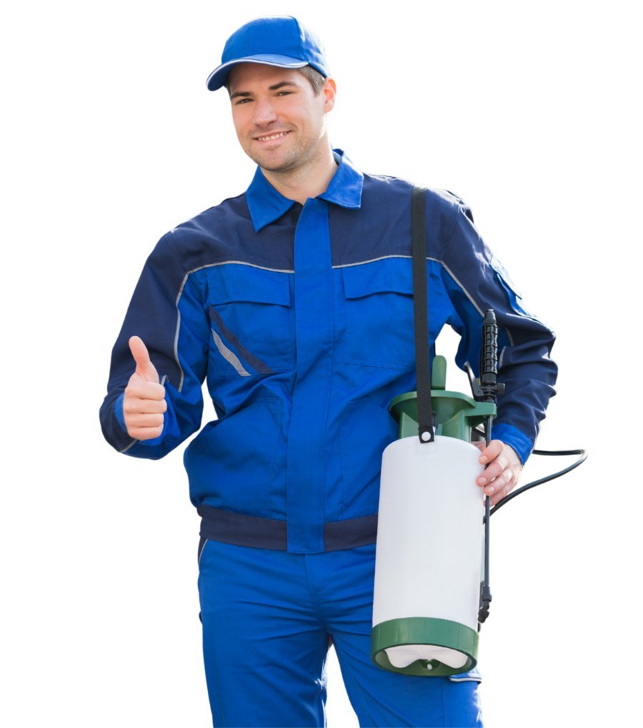Pest Control PPC Agency Google Ads Manager
